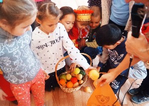 �����������